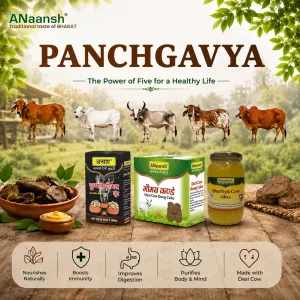 Panchgavya